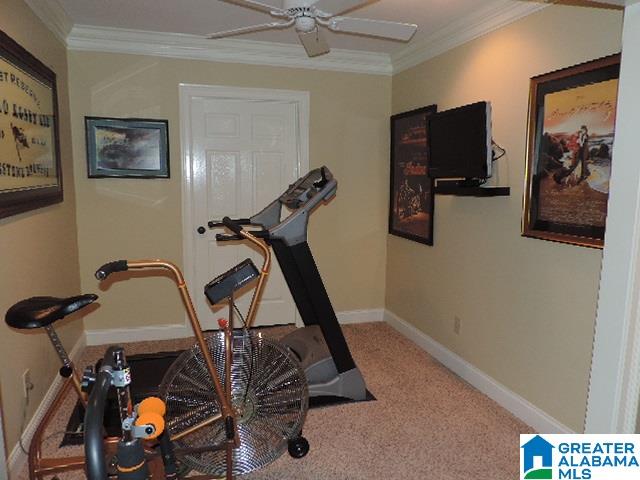 5679 Chestnut Trace Birmingham, AL 35244 - Photo 43 of 50