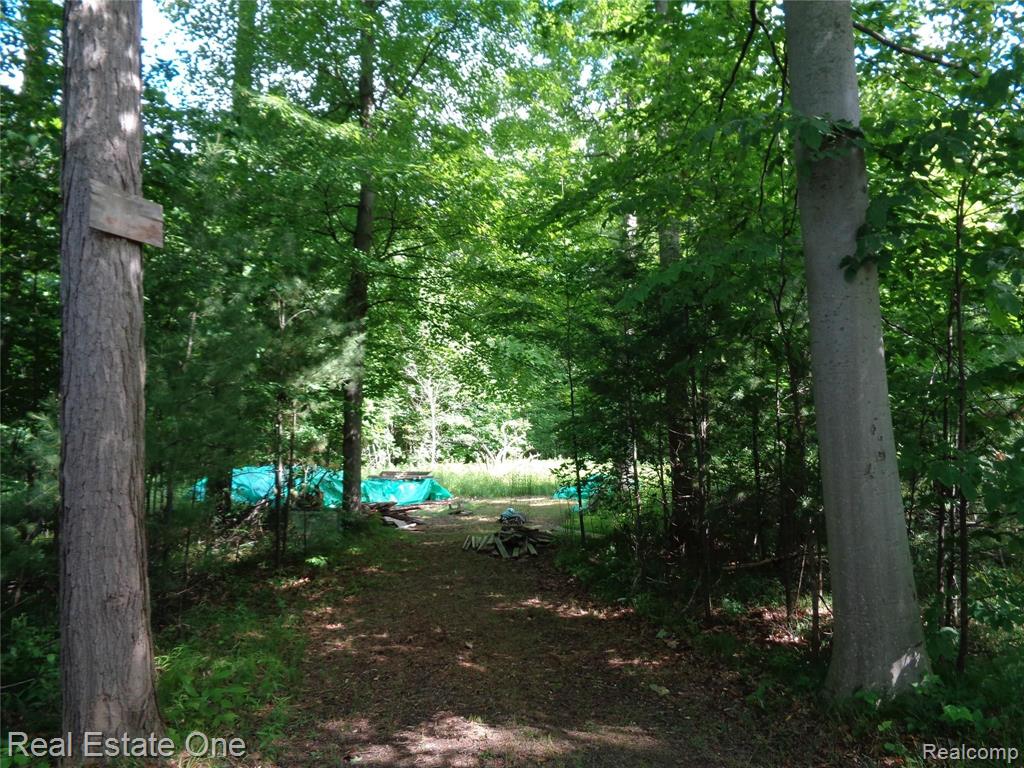0 South Baldwin Road Clarkston, MI 48348 - Photo 4 of 30