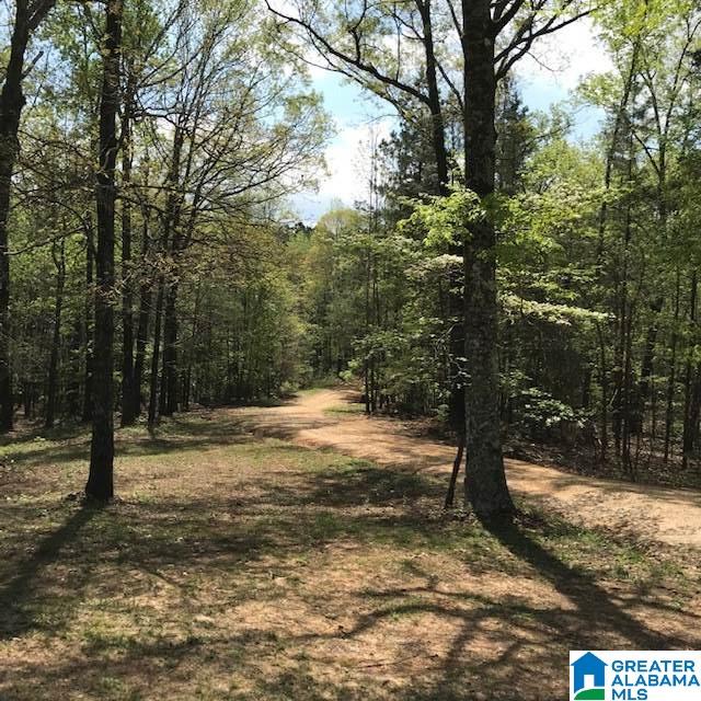 19982 Rabbit Ridge McCalla, AL 35111 - Photo 7 of 49