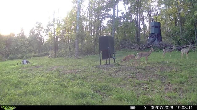 Spence Hill Road Caldwell, OH 43724 - Photo 35 of 49 Gallery Image 35