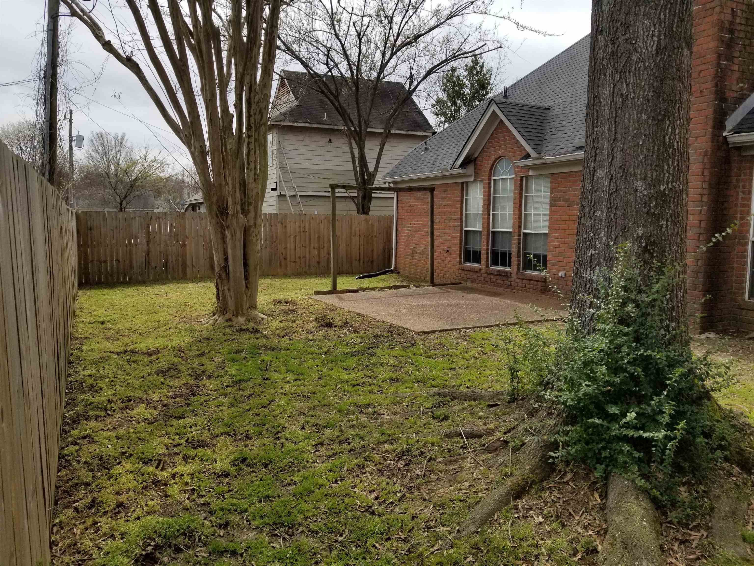 5376 Twisting Ridge Cove Memphis, TN 38141 - Photo 15 of 15 Gallery Image 15