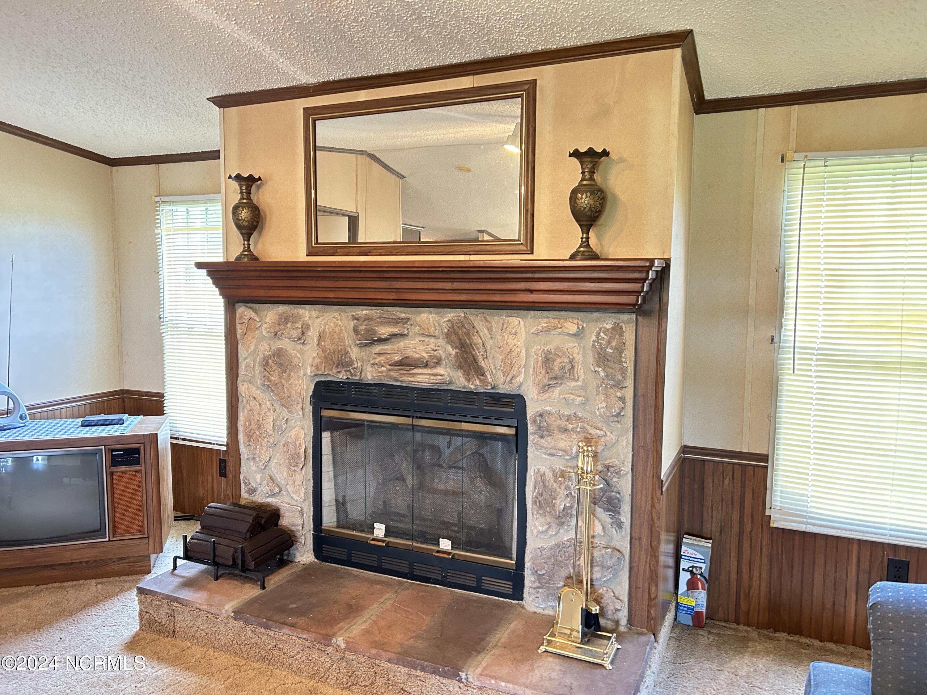 1264 Wade Road Scotland Neck, NC 27874 - Photo 7 of 46 fireplace, gas logs