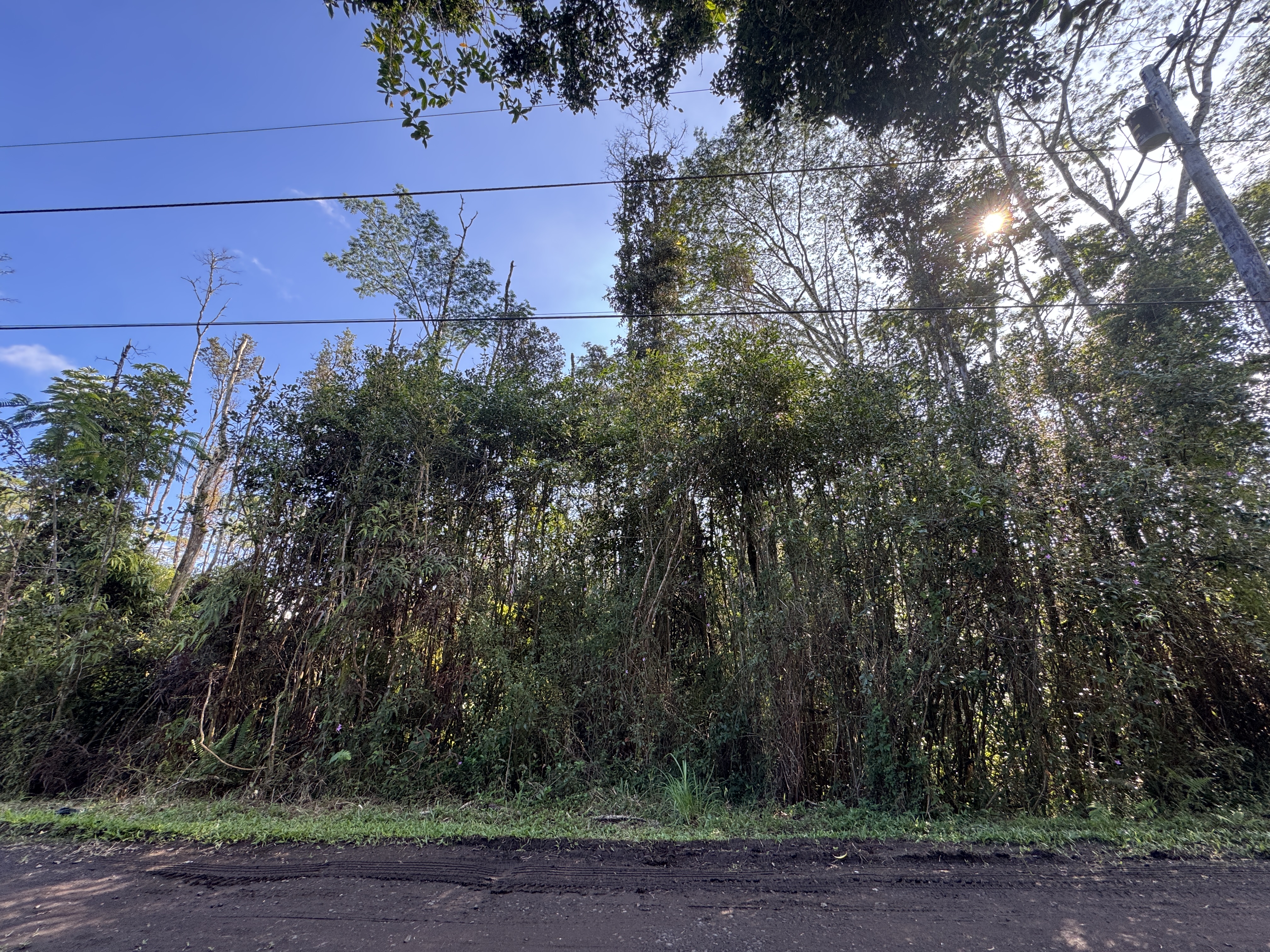 929 Oahu Road Pahoa, HI 96778 - Photo 1 of 4 Gallery Image 1