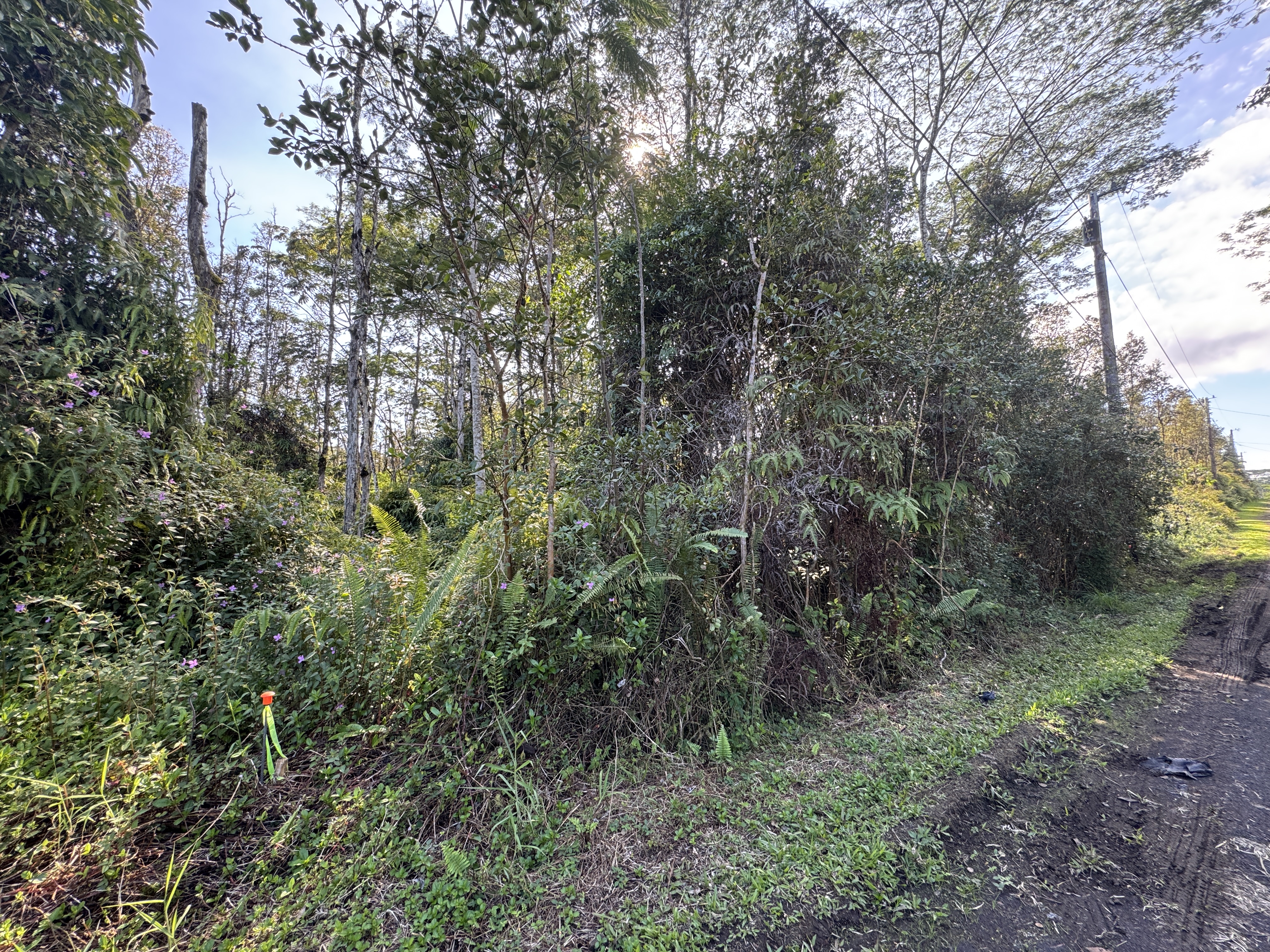929 Oahu Road Pahoa, HI 96778 - Photo 3 of 4 Gallery Image 3