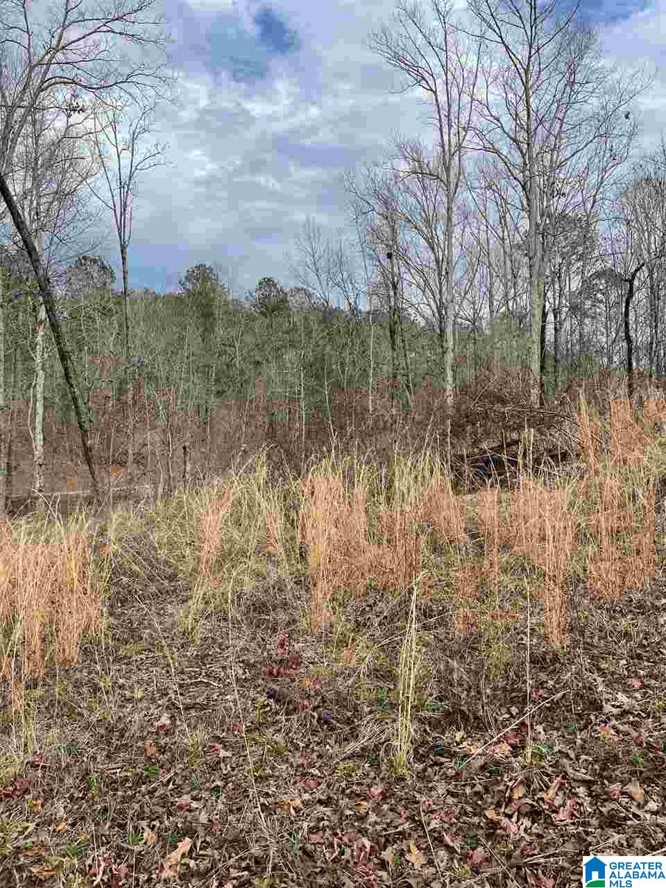391 Amanda Lane Shelby, AL 35143 - Photo 9 of 9