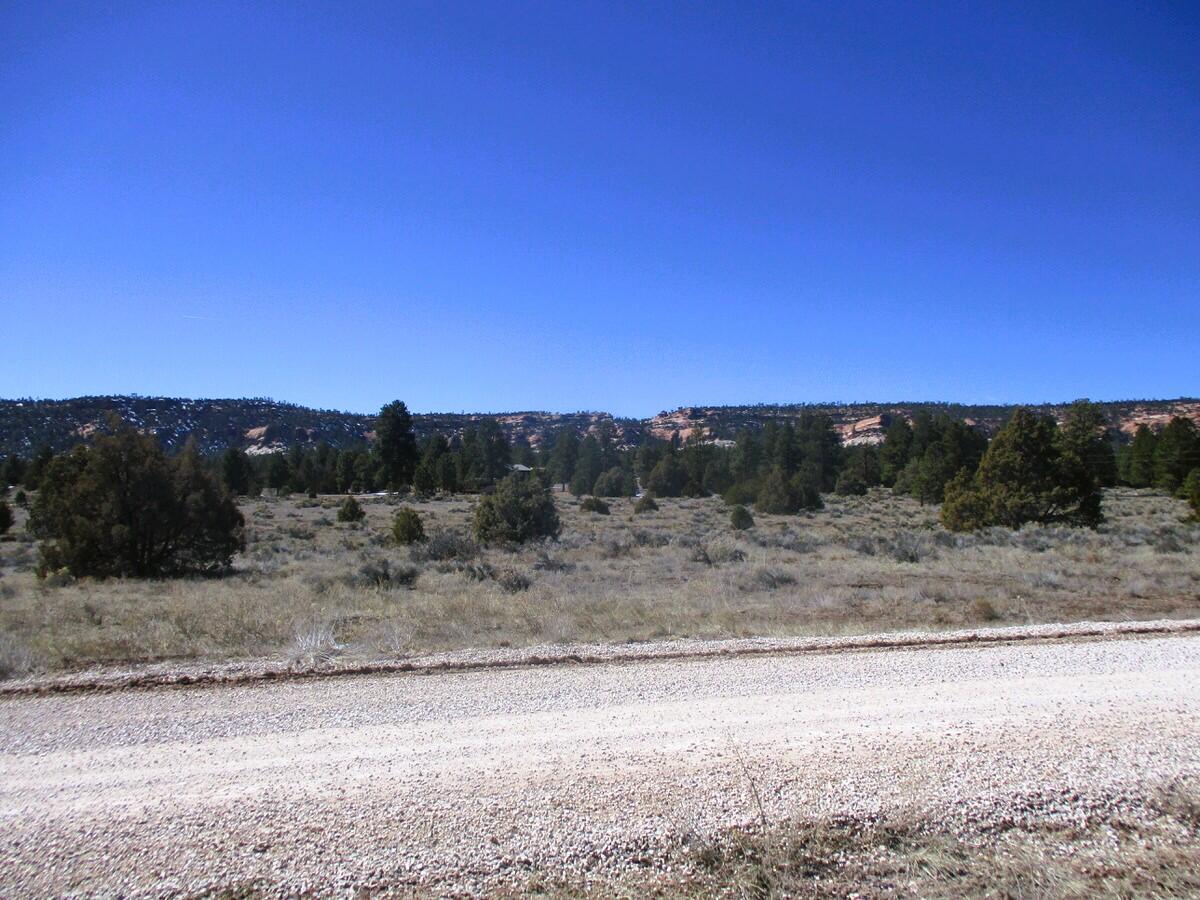 Lot 10 Sagebrush Road Ramah, NM 87321 - Photo 8 of 90 Gallery Image 8