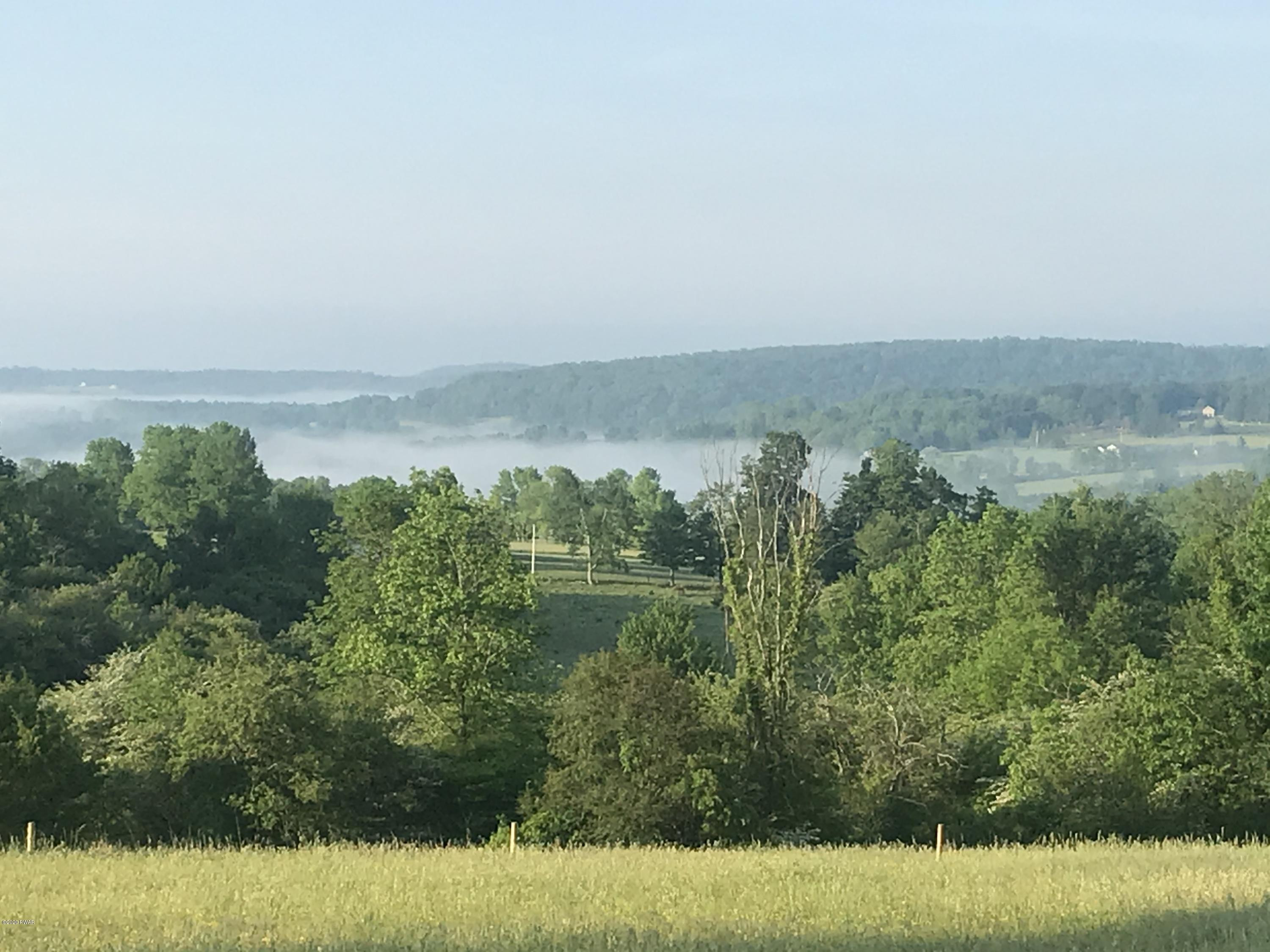 327 Wescott Road Tyler Hill, PA 18469 - Photo 34 of 37 Mist over the valley