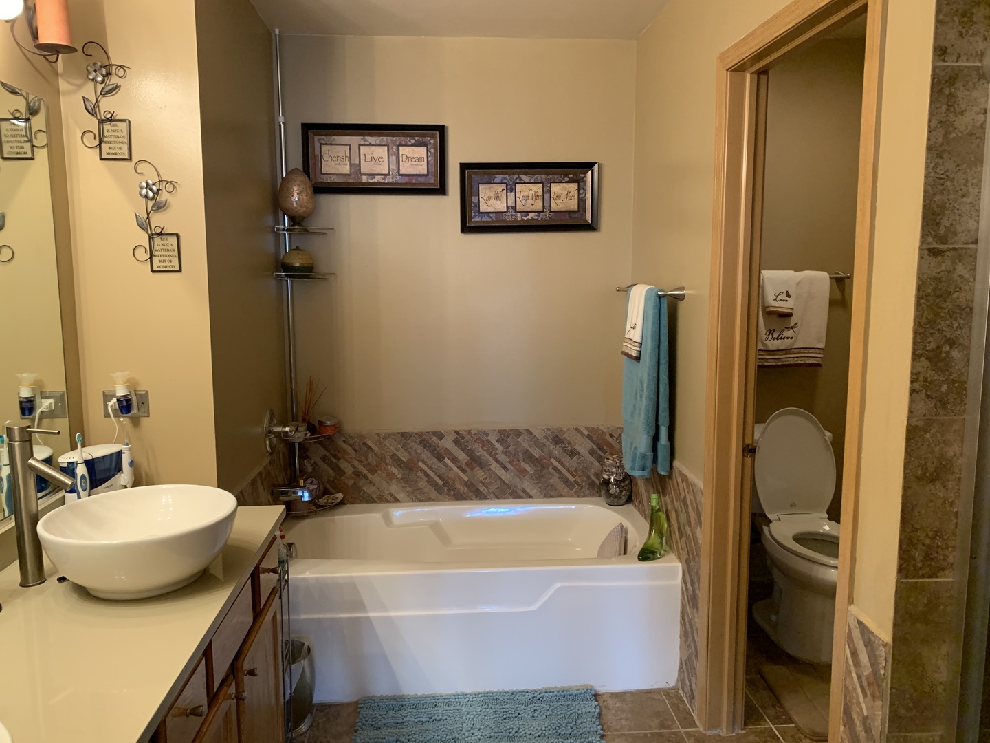 21211 Gray Hawk Drive Matteson, IL 60443 - Photo 31 of 36 a bathroom with a tub sink and a mirror