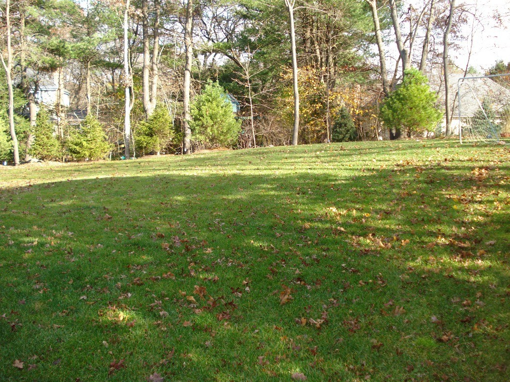 158 Bristol Road Wellesley, MA 02481 - Photo 27 of 29