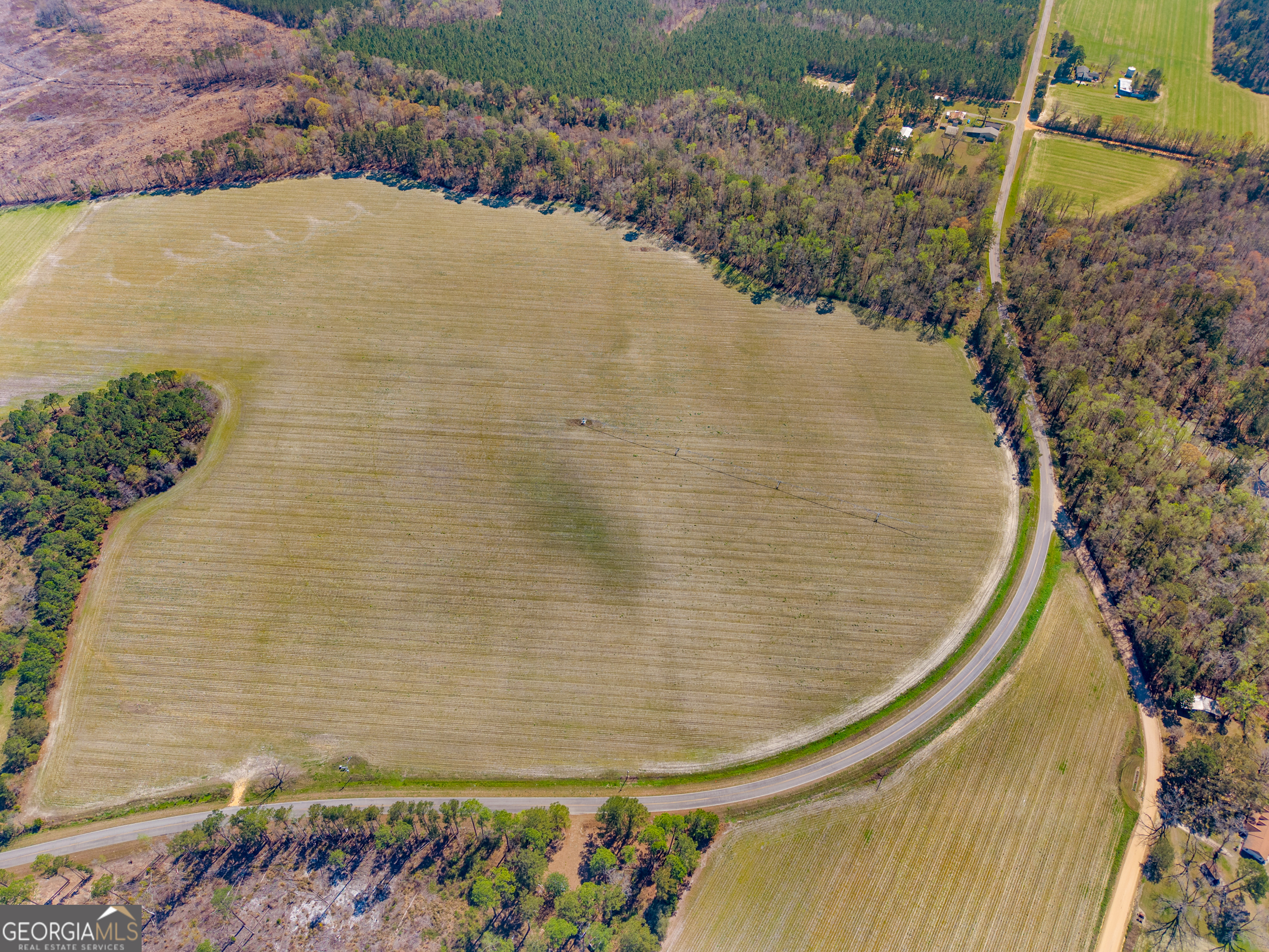 0 Stilson-Leefield Road Brooklet, GA 30415 - Photo 3 of 12