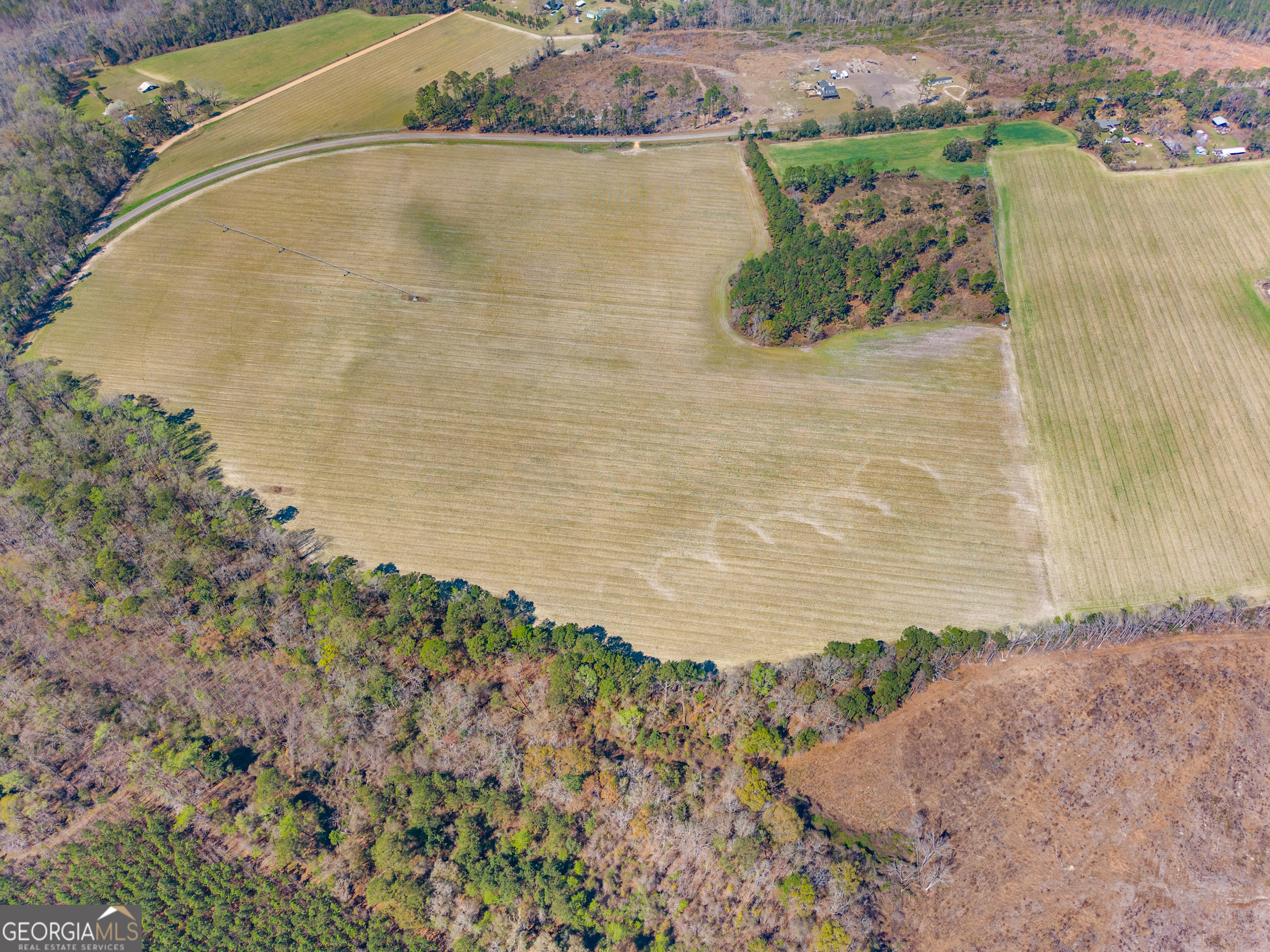 0 Stilson-Leefield Road Brooklet, GA 30415 - Photo 8 of 12