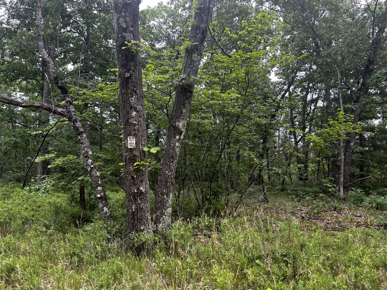 7376 West 7 Mile Road Mesick, MI 49668 - Photo 17 of 26 Gallery Image 17