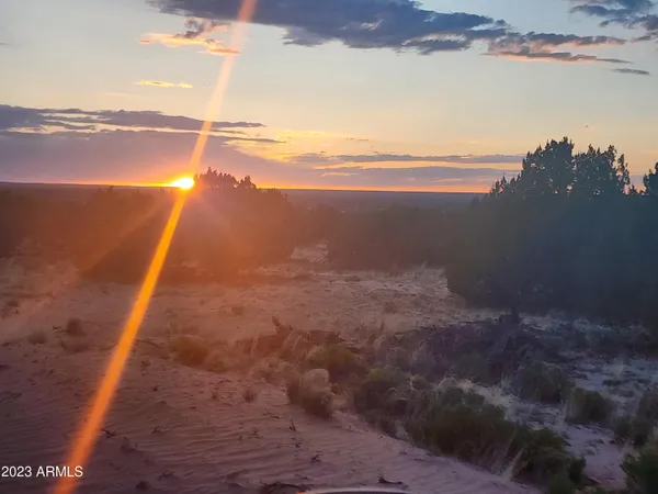 $29,900 | 0 North Tbd Drive, Unit 180B, St. Johns, AZ 85936