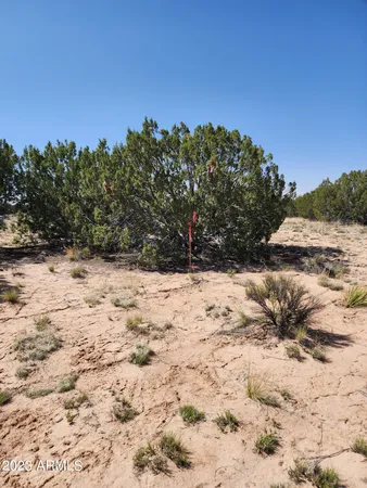 $29,900 | 0 North Tbd Drive, Unit 180B, St. Johns, AZ 85936