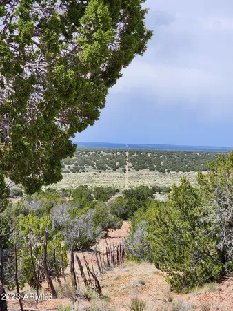 $29,900 | 0 North Tbd Drive, Unit 180B, St. Johns, AZ 85936