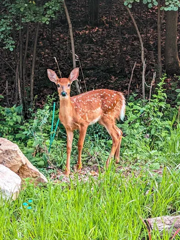 $399,900 | 10168 North Edgewood Shores Road, Edgerton, WI 53534