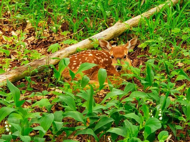 $399,900 | 10168 North Edgewood Shores Road, Edgerton, WI 53534