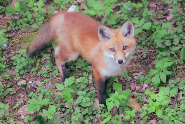 $399,900 | 10168 North Edgewood Shores Road, Edgerton, WI 53534