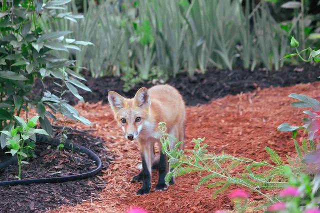 $399,900 | 10168 North Edgewood Shores Road, Edgerton, WI 53534