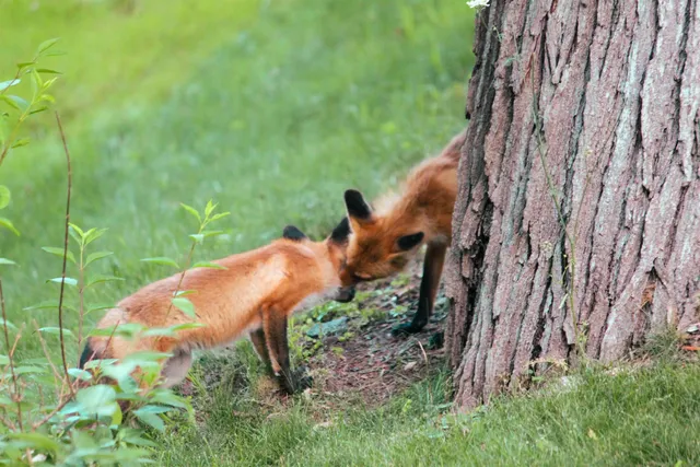 $399,900 | 10168 North Edgewood Shores Road, Edgerton, WI 53534