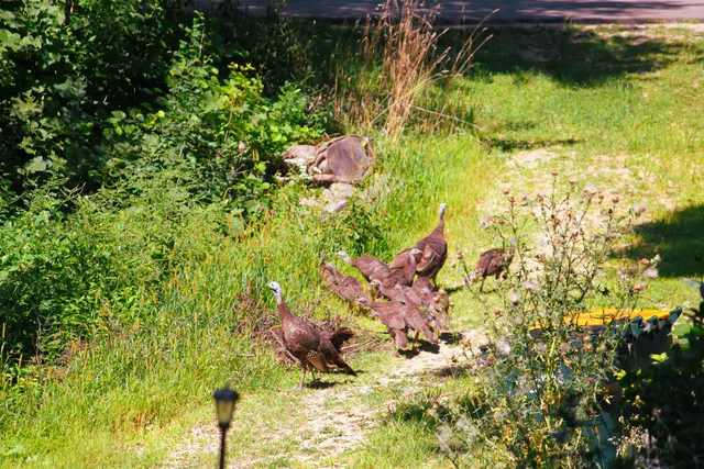 $399,900 | 10168 North Edgewood Shores Road, Edgerton, WI 53534