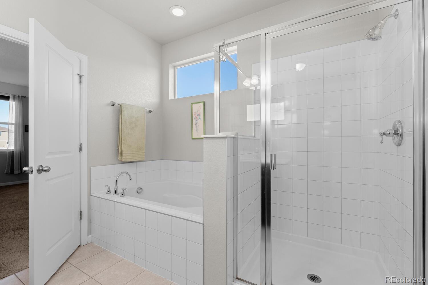 1587 Lake Point Way Severance, CO 80550 - Photo 26 of 40 a bathroom with a bathtub and a shower