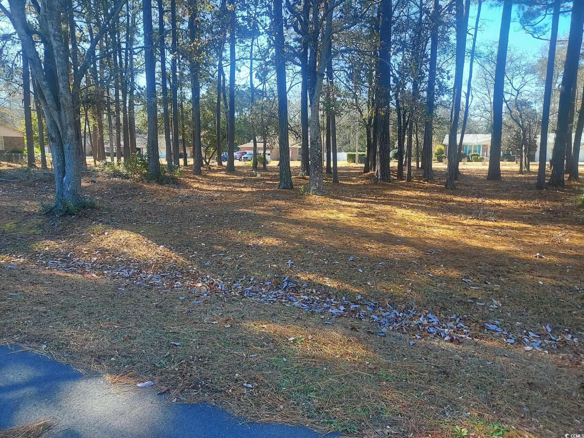 4116 Schoolhouse Circle Little River, SC 29566 - Photo 1 of 3