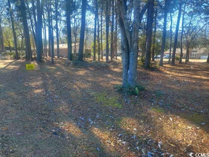 4116 Schoolhouse Circle Little River, SC 29566 - Photo 2 of 3