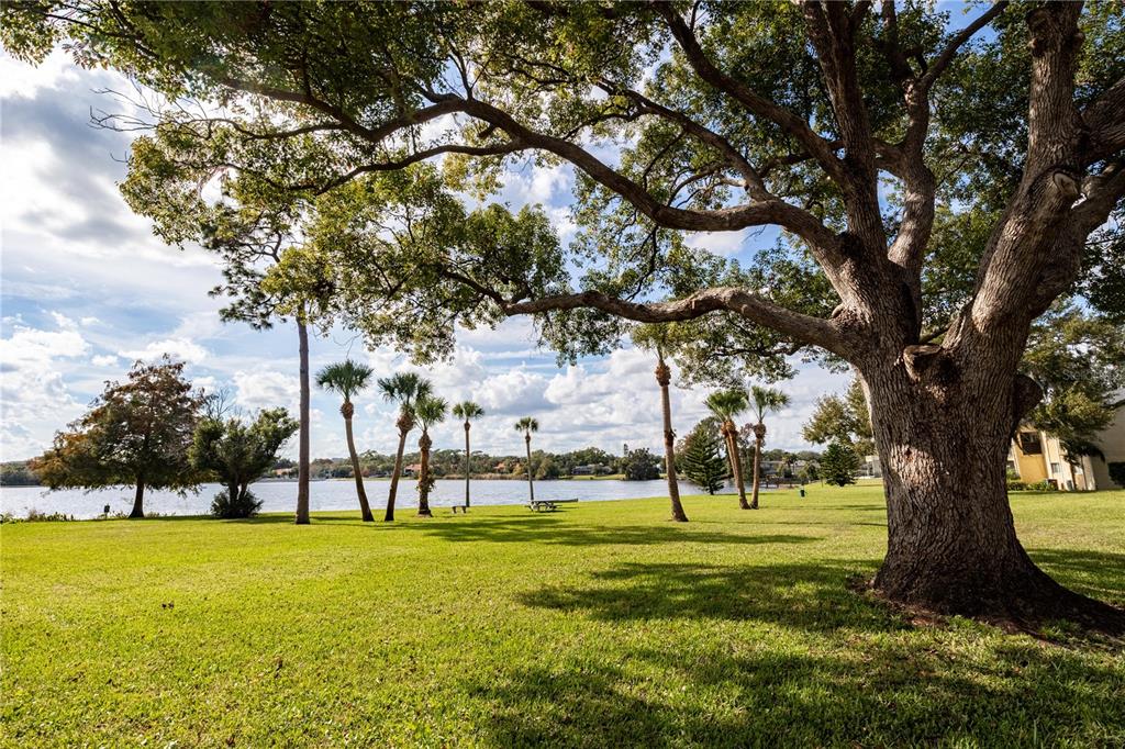 920 Lake Destiny Road, Unit F Altamonte Springs, FL 32714 - Photo 20 of 27 a view of outdoor space with trees