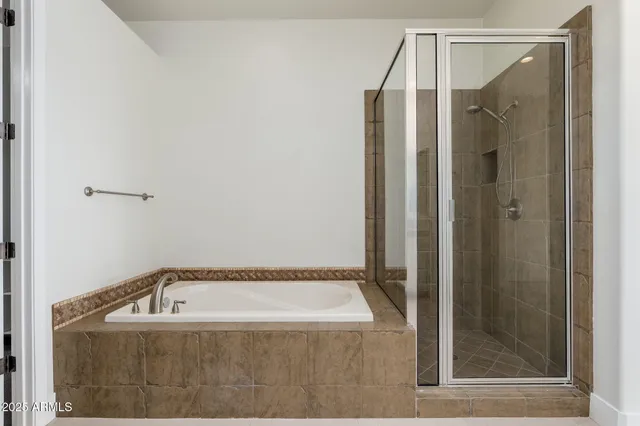 a bathroom with shower and a bathtub