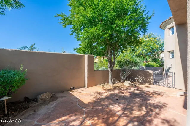a backyard of a house with a tree