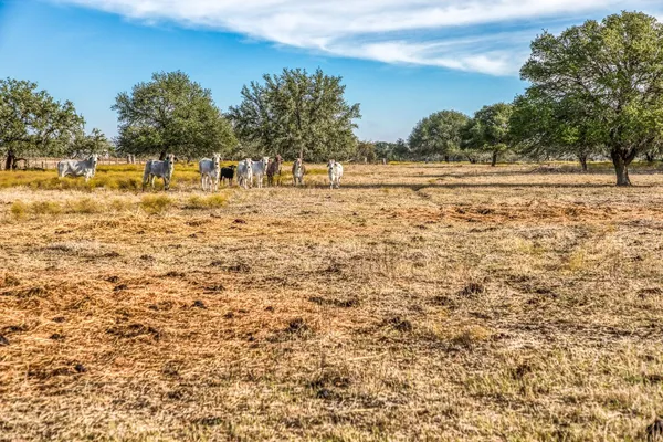 $500,000 | 7300-2 Goehring Road, Ledbetter, TX 78946