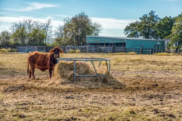 $500,000 | 7300-2 Goehring Road, Ledbetter, TX 78946