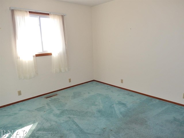 1736 Tabor Road Clinton, IL 61727 - Photo 22 of 23