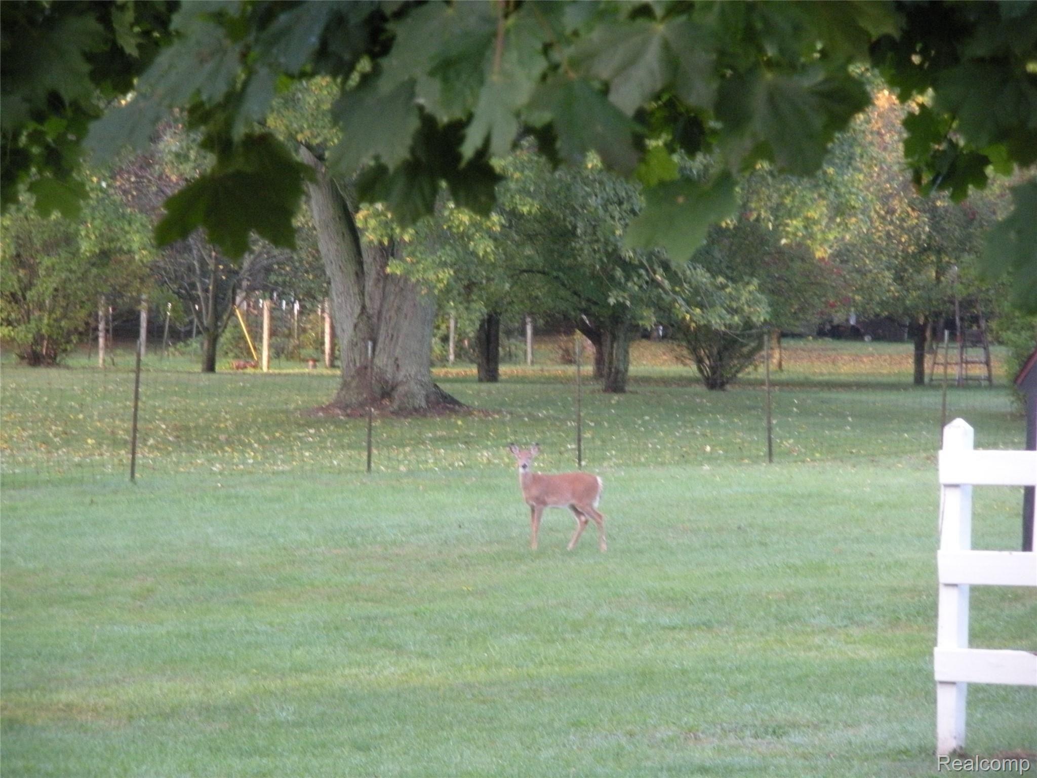 159 North Summers Road Imlay City, MI 48444 - Photo 36 of 36 IN THE WINTER YOU CAN CATCH THEM RIGHT UNDER YOUR WINDOWS!