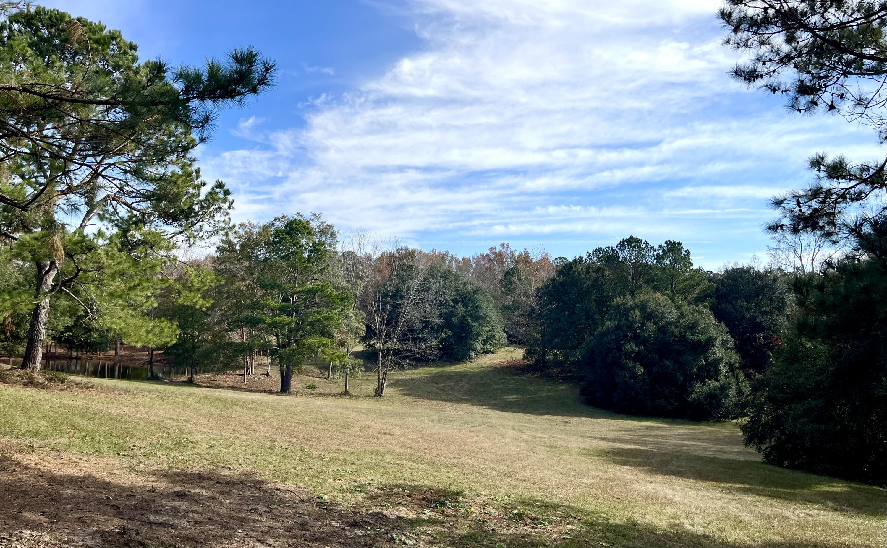 440 Coleman Bridge Road Aiken, SC 29805 - Photo 77 of 82