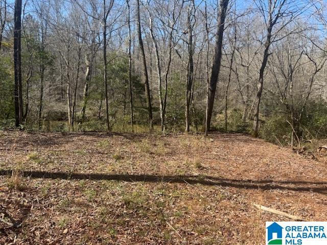Pate Road Lineville, AL 36266 - Photo 4 of 5