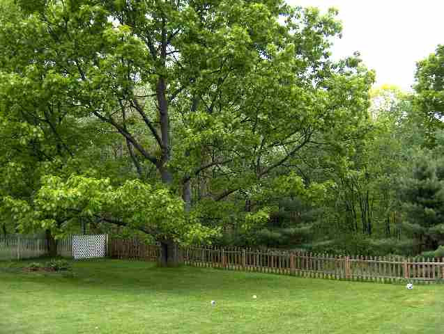 31 Eastover Road Brunswick, NY 12180 - Photo 3 of 12 Photo 3