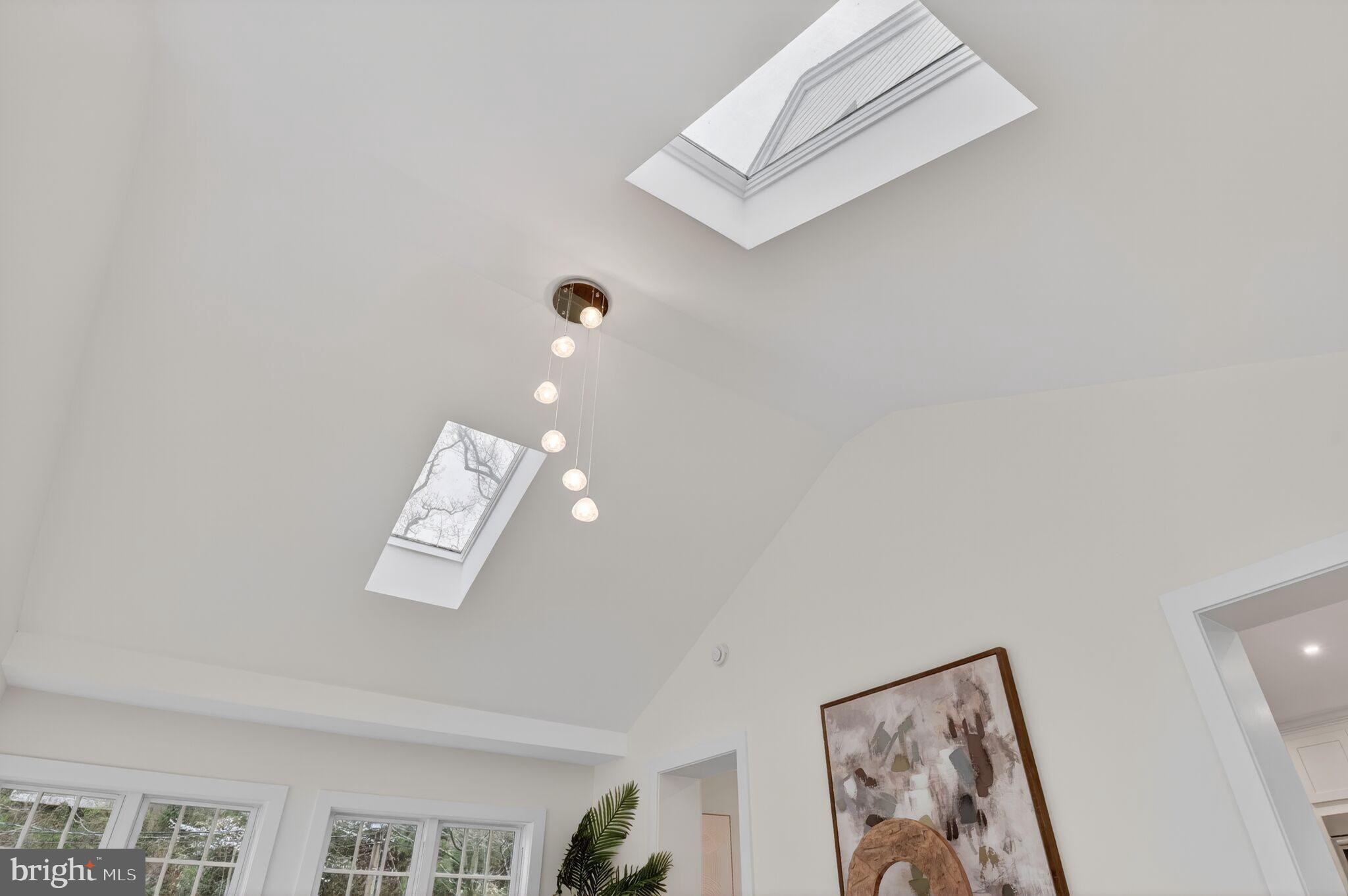 3637 Tilden Street Northwest Washington, DC 20008 - Photo 18 of 48 Family Room | skylights