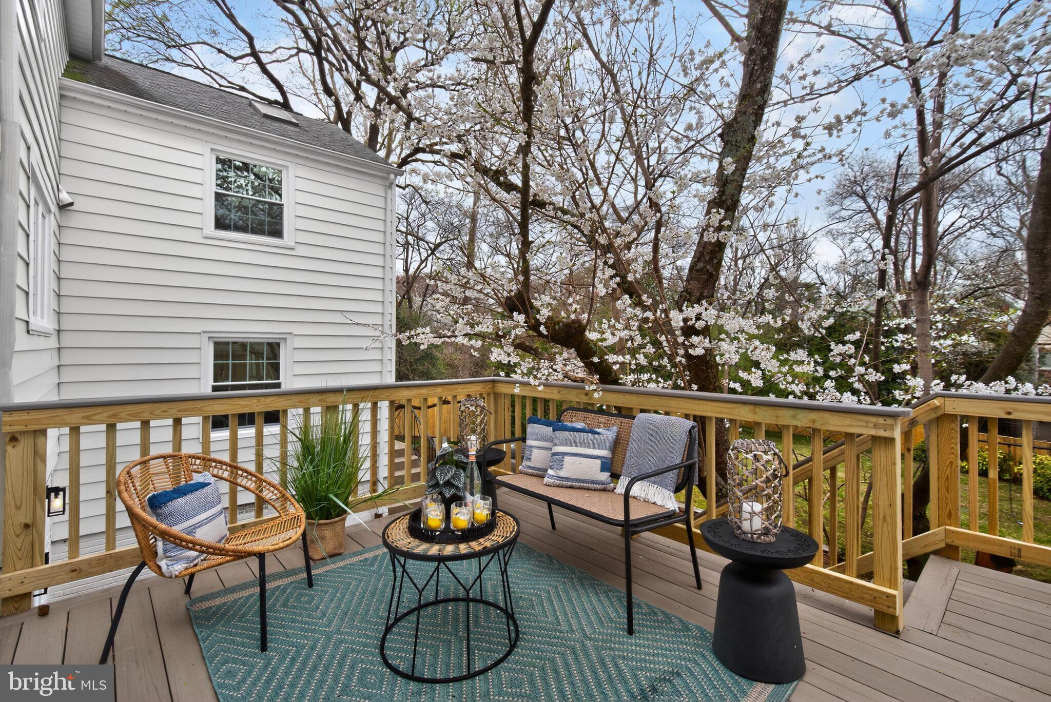 3637 Tilden Street Northwest Washington, DC 20008 - Photo 21 of 49 Deck