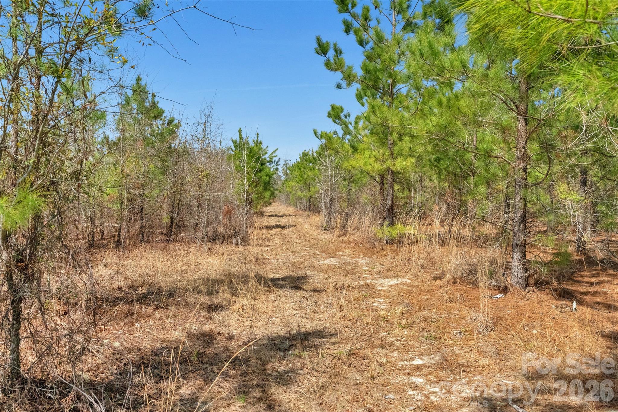 931 Charlie Johnson Road, Unit 7 Kershaw, SC 29067 - Photo 33 of 34