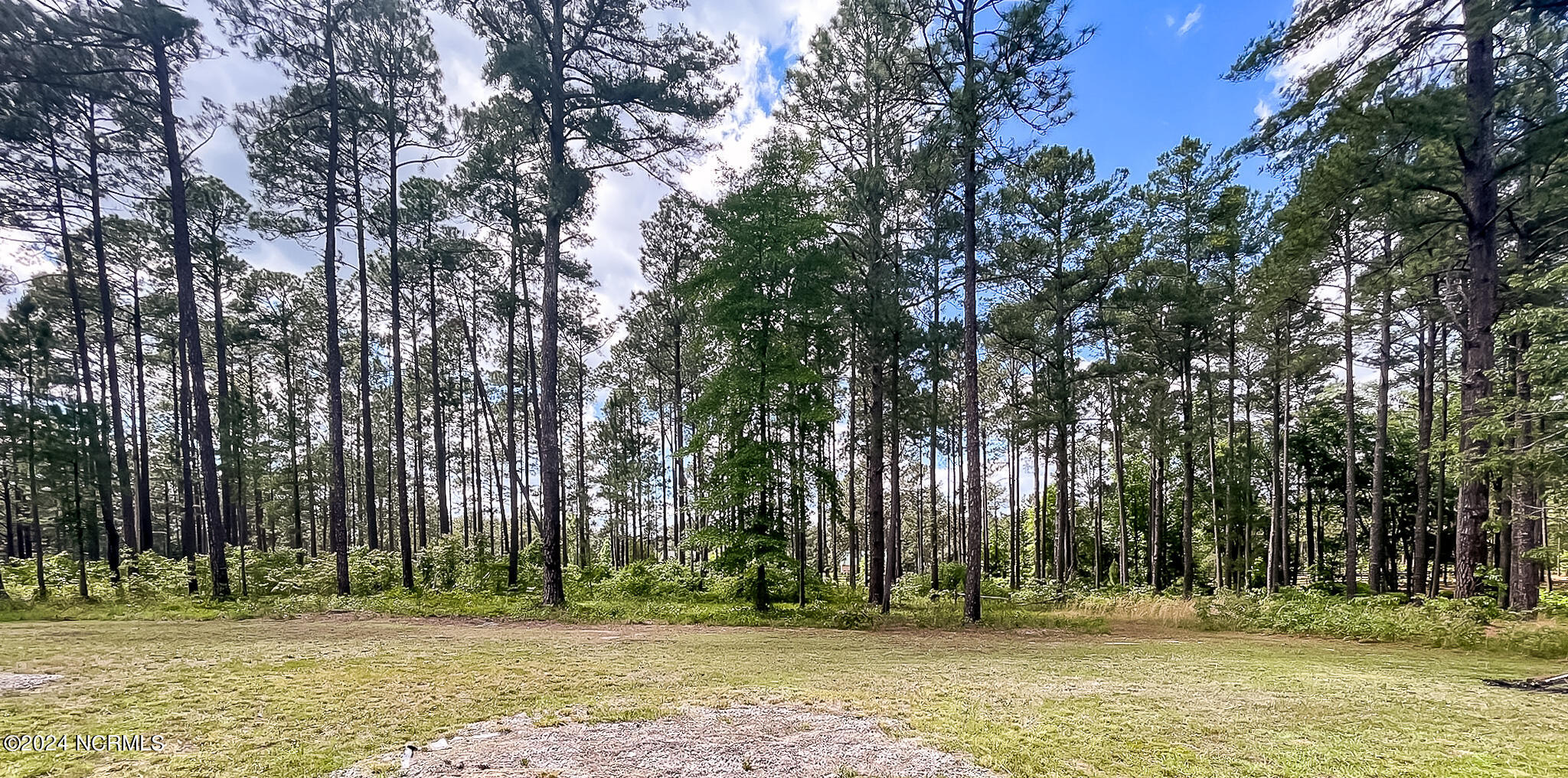 1005 Youngs Road Vass, NC 28394 - Photo 105 of 114 Land looking straight back/left of the property