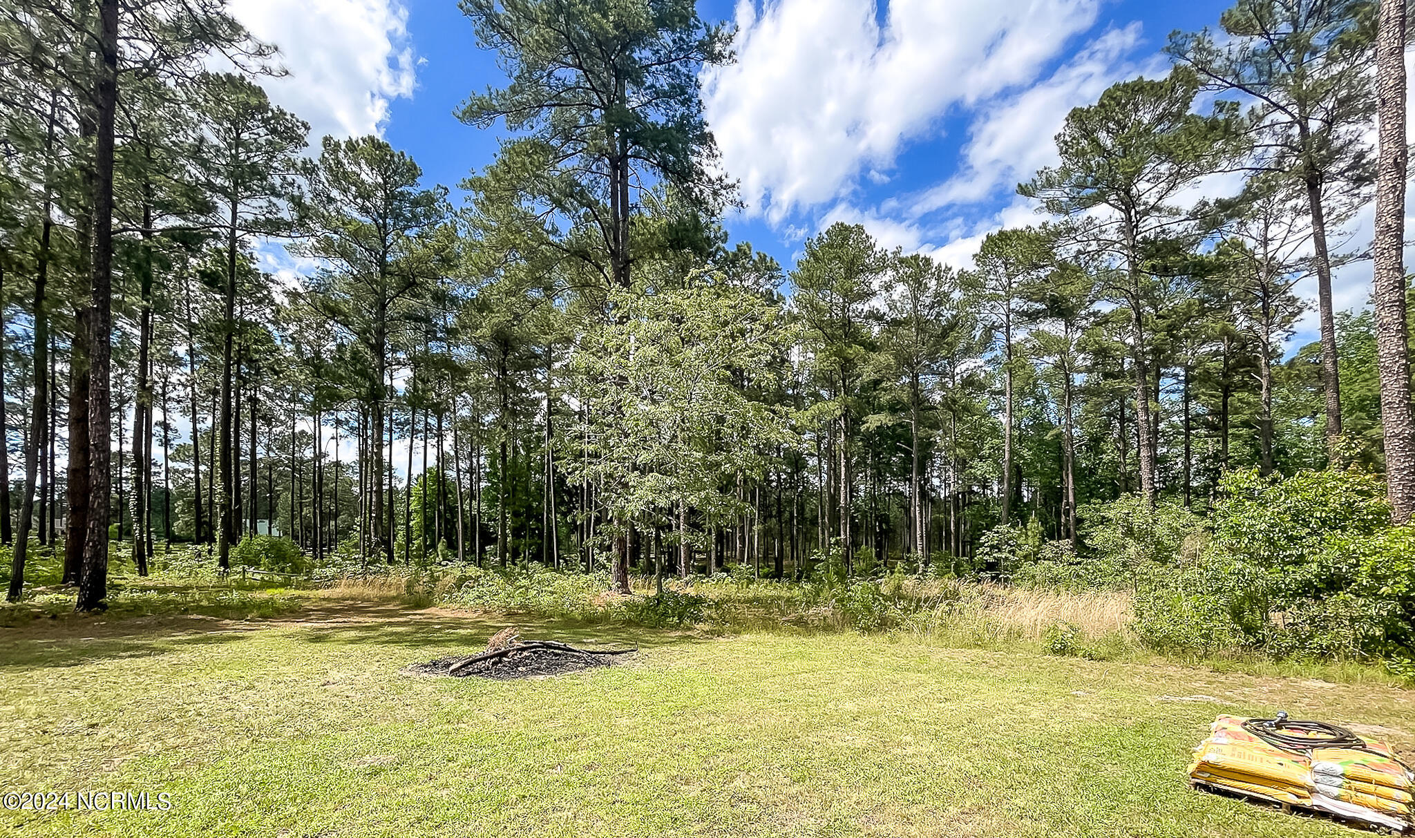 1005 Youngs Road Vass, NC 28394 - Photo 106 of 114 1005 Youngs Rd