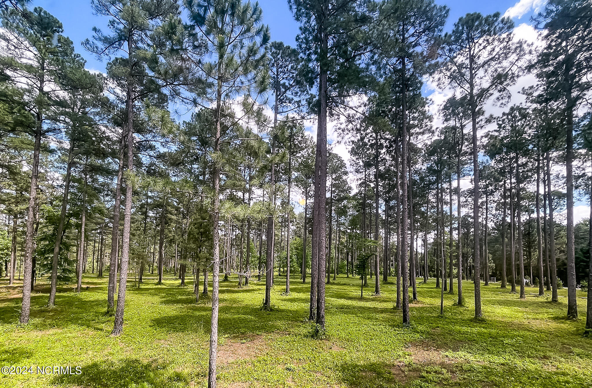1005 Youngs Road Vass, NC 28394 - Photo 107 of 114 1005 Youngs Rd