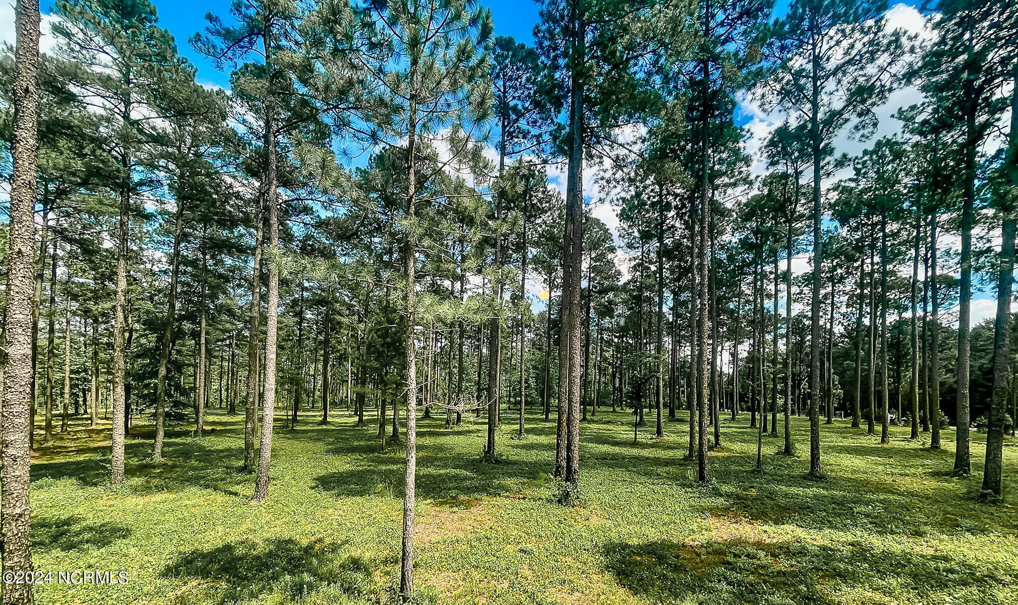 1005 Youngs Road Vass, NC 28394 - Photo 108 of 114 1005 Youngs Rd