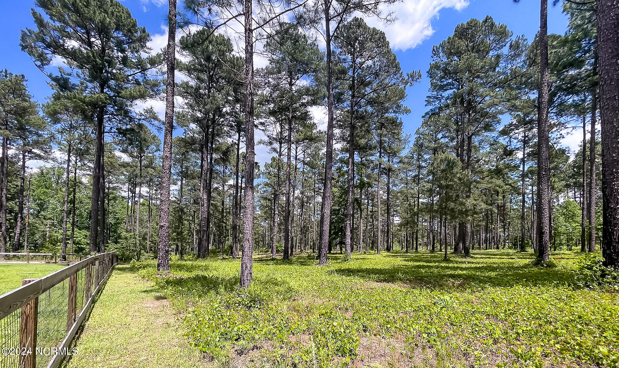 1005 Youngs Road Vass, NC 28394 - Photo 15 of 114 1005 Youngs Rd