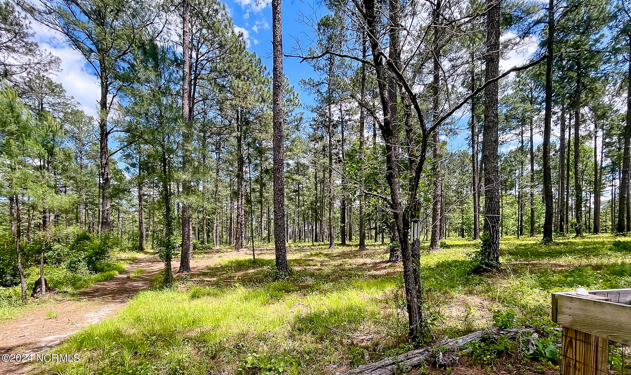 1005 Youngs Road Vass, NC 28394 - Photo 17 of 114 1005 Youngs Rd
