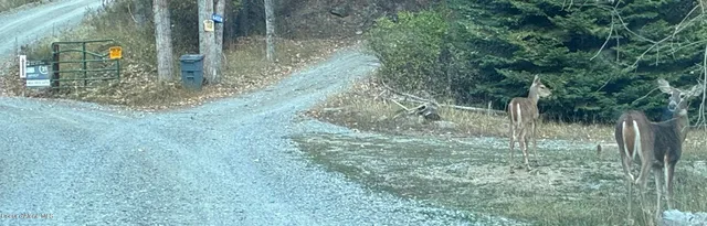 $995,000 | 16443 West Sala Lane, Post Falls, ID 83854