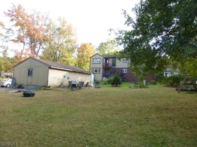 a garden with lots of trees