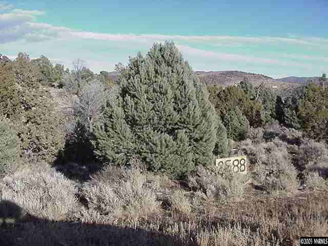 2588 Cartwright Road Reno, NV 89521 - Photo 2 of 4 a view of a lake with a mountain in the background